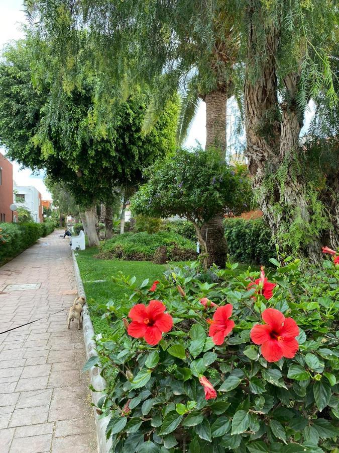 Villa Casa Armonia Del Sol à San Bartolomé Extérieur photo